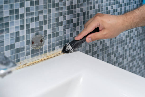 Best Residential Mold Remediation in Union, OH
